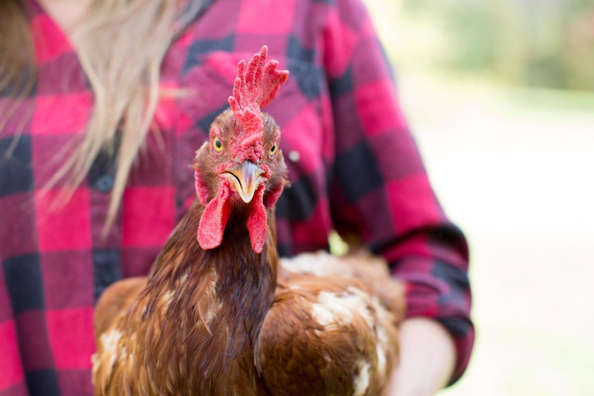 Woodstock Sustainable Farms Villa Esterno foto
